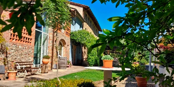 Serendepico